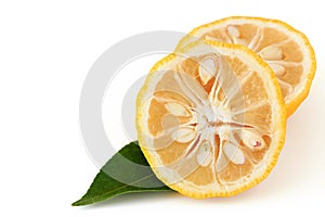 Citrus junos on white background