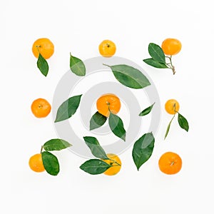 Citrus with leaves isolated on white background. Fruit pattern. Flat lay. Top view