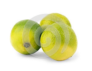 Citrus lime fruit segment isolated on white background cutout photo