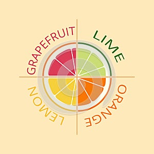 Citrus logo, icon, emblem. Lemon, lime, orange, grapefruit. Juicy set of slices of different fruits. Flat design. Vector