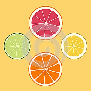 Citrus logo, icon, emblem. Lemon, lime, orange, grapefruit. Juicy set of slices of different fruits. Flat design. Vector