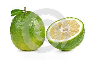 Citrus medica Linn on white background photo