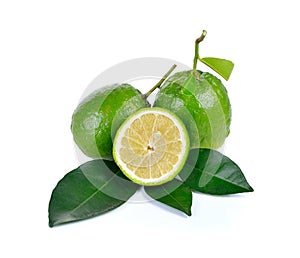 Citrus medica Linn on white background photo