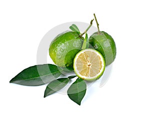 Citrus medica Linn on white background photo