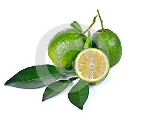 Citrus medica Linn on white background photo