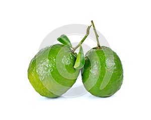 Citrus medica Linn on white background