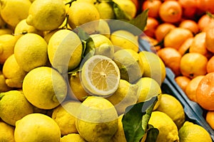 Citrus mix from fresh lemon, tangerine, orange on the farm market. Products rich in vitamins.