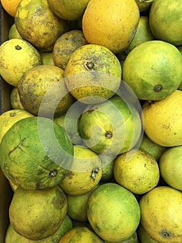 Citrus orange fruits infected with citrus greening huanglongbing HLB