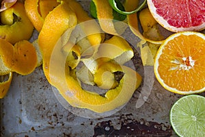 Citrus peels, orange, lemon and grapefruit