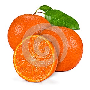 Citrus reticulata