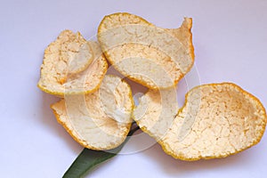 Citrus reticulata BlancoÃ¯Â¼ÅOrange peel can be used as medicine after drying, is a more common and important Chinese medicine, photo