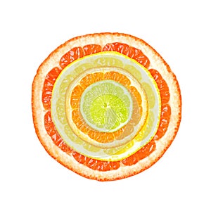 Citrus slices