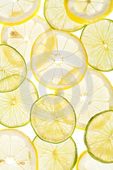 Citrus slices fresh fruit background