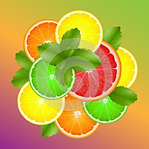 Citrus slices of lemon  orange  lime  grapefruit and mint leaves on colorful background. Vector illustration