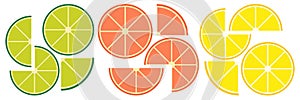 Citrus slices of lemon, orange, lime and grapefruit. Summer vector illustration set