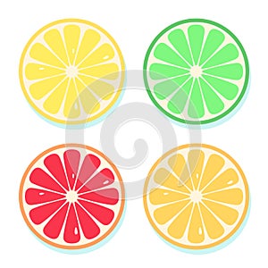 Citrus slices of lemon, orange, lime and grapefruit. Vector illustration