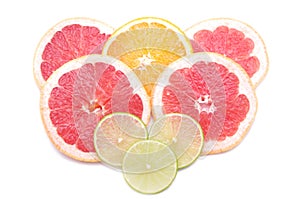 Citrus slices - orange, lime, grapefruit