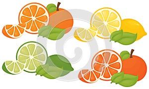 Citrus Splash