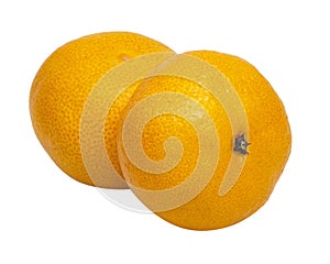 Citrus tangerine fruit isolated on the white background