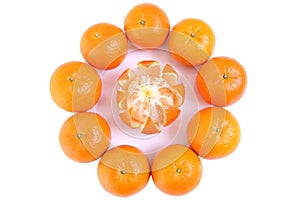 Citrus tankan against white backgroundorange fruit citrus tankan circle against white background