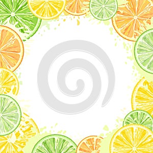 Citrus Watercolors Fresh Summer Frame Vector Design