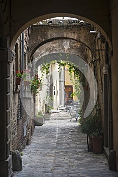 Citta di Castello (Umbria, Italy)