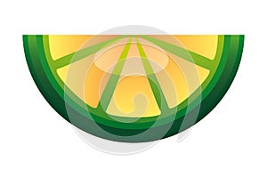 citurs fruit lemon slice on white background