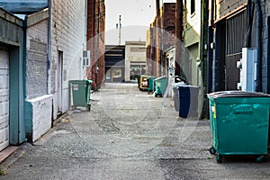 City alley with trash, dumpsters, and garbage cans