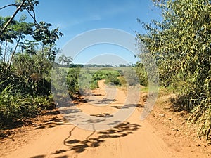 Tree shadow draws the dirt road photo