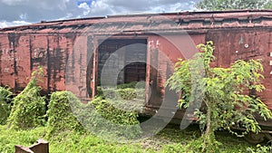 Nature invades an abandoned train car photo