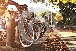 City bicycle with basket photo