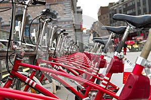 City bicycles photo
