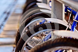 City bicycles near road photo