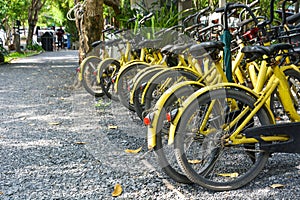 City bike, a row of yellow color public bicycles for rent parking on footpath in public park