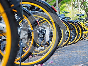 City bikes rent parking in Phuket Thailand