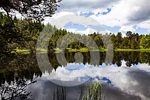 City in Black Forest, Germany. Sky, Lake, Forest, Plants and trees