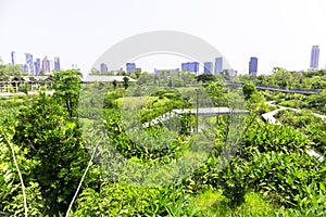 City center parks and garden paths on clear days