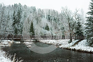 City Cesis, Latvia.River Amata at winter,  trees and snow