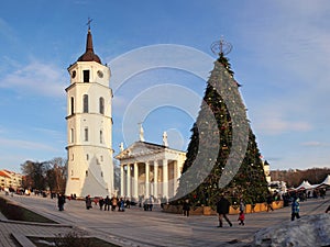 City Christmas Tree, Vilnius, Lithuania