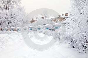 City covered with snow