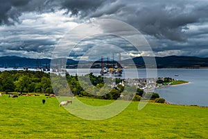 City Of Cromarty With Cattle On Pasture And Oil Rigs In The Cromarty Firth In Scotland
