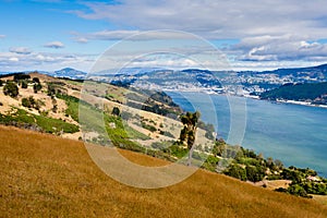 Dunedin and Otago Harbour South Island New Zealand photo