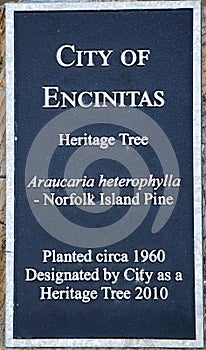 City of Encinitas Heritage Tree Plaque