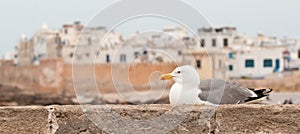 City of Essaouira in Morocco