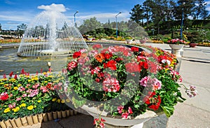City flower garden in Dalat, Vietnam