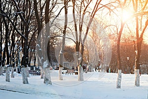 City footpath winter