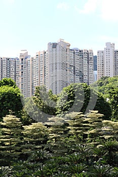 City in the forest photo