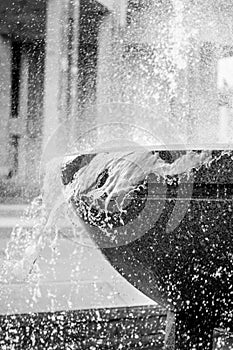 City fountains working in the form of vases photo