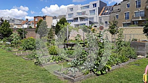 City garden or allotment community garden in the Groen Kwartier district in Antwerp, Belgium