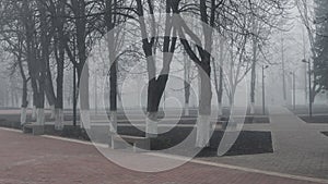 City gray gloomy foggy Park